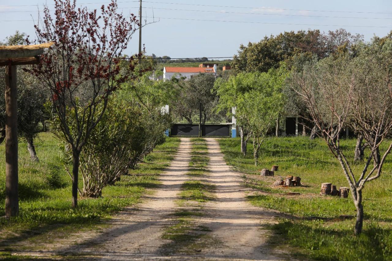 Willa Quinta Da Tapada De Sao Pedro Vimieiro  Zewnętrze zdjęcie