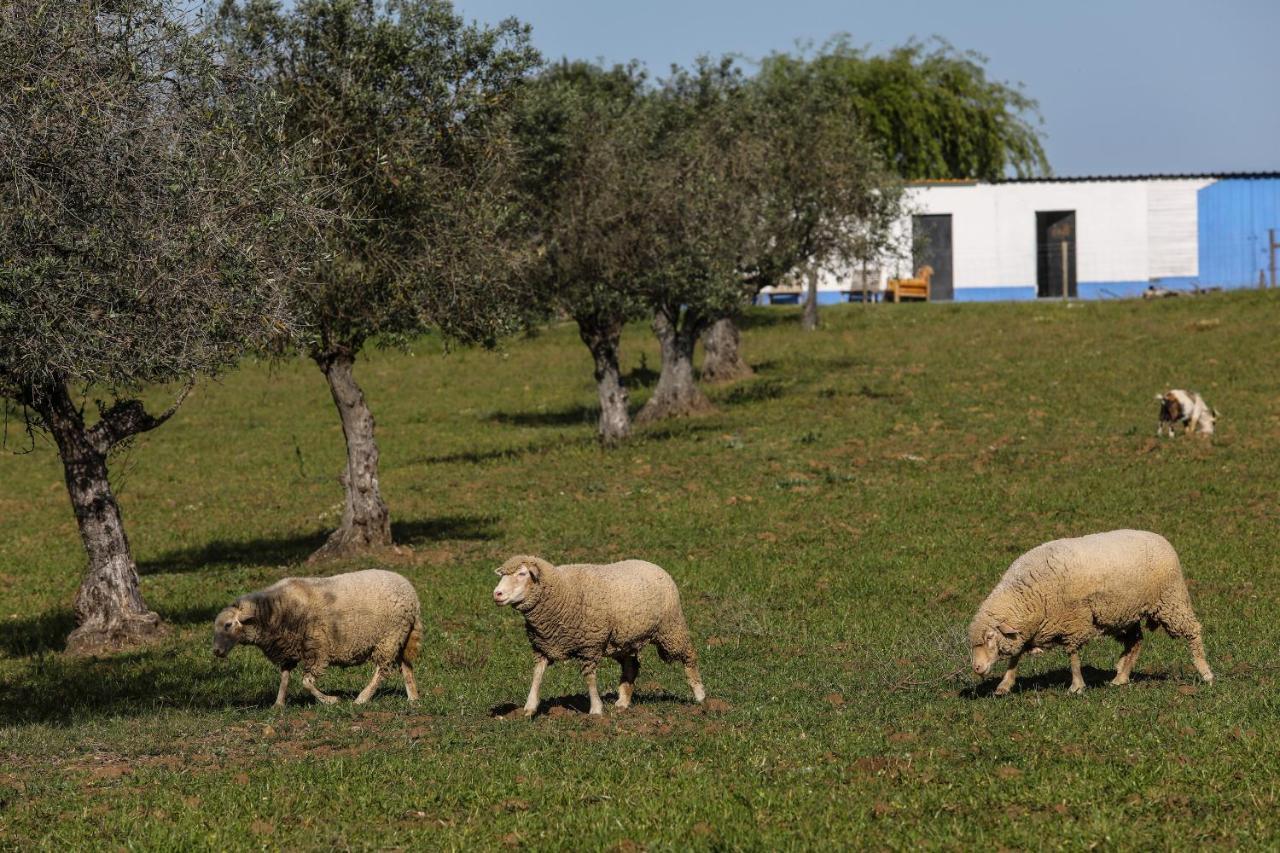 Willa Quinta Da Tapada De Sao Pedro Vimieiro  Zewnętrze zdjęcie