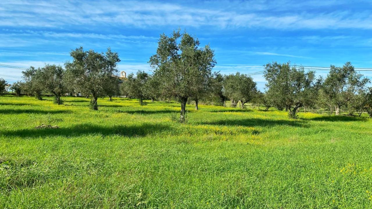 Willa Quinta Da Tapada De Sao Pedro Vimieiro  Zewnętrze zdjęcie